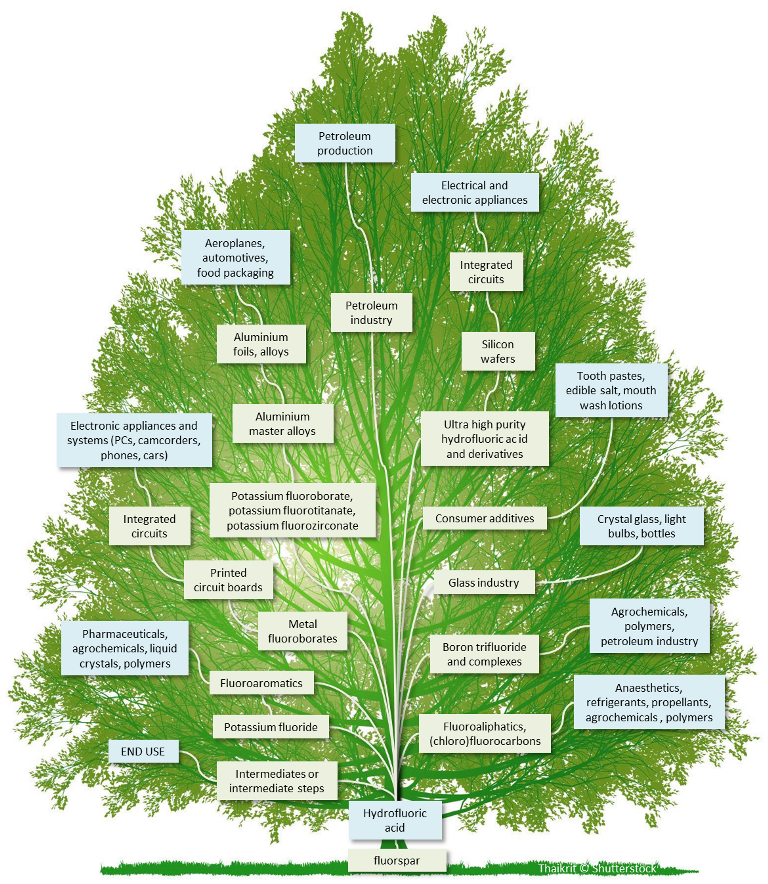 Eurofluor tree - doc large