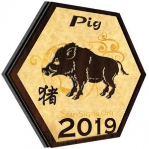 Year of the Pig