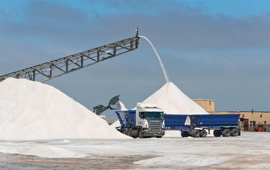 Harvesting-and-Washing