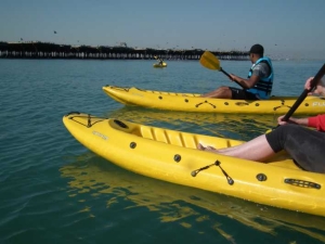 Kayak